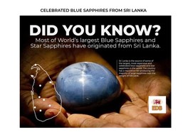 Celebrated Blue Sapphires from Sri Lanka 01.Star of Adam