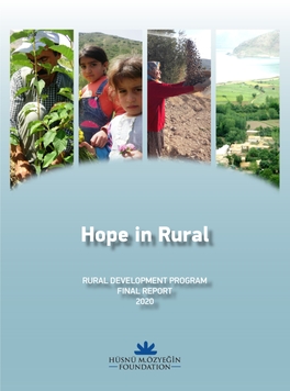 Rural Development Final Report