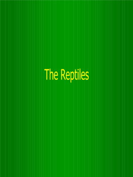 The Reptiles a Quick Review of Amphibia