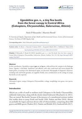 Ugandaltica Gen. N., a Tiny Flea Beetle from the Forest Canopy in Central Africa (Coleoptera, Chrysomelidae, Galerucinae, Alticini)