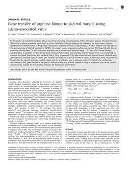 Gene Transfer of Arginine Kinase to Skeletal Muscle Using Adeno-Associated Virus