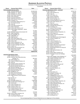 Aggressive Allocation Portfolio