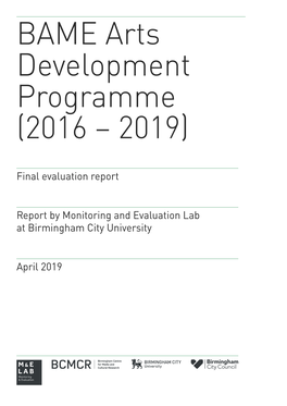 BAME Arts Development Programme (2016 – 2019)