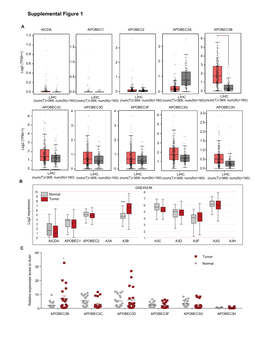 Supplemental Figure 1