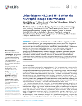 Linker Histone H1.2 and H1.4 Affect the Neutrophil Lineage Determination