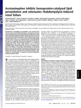 Acetaminophen Inhibits Hemoprotein-Catalyzed Lipid Peroxidation and Attenuates Rhabdomyolysis-Induced Renal Failure