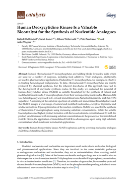 Human Deoxycytidine Kinase Is a Valuable Biocatalyst for the Synthesis of Nucleotide Analogues