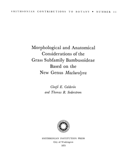 Grass Subfamily Bambusoideae Based on the New Genus Maclurolyra
