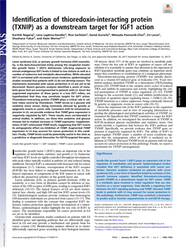 Identification of Thioredoxin-Interacting Protein (TXNIP) As a Downstream Target for IGF1 Action