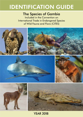 IDENTIFICATION GUIDE the Species of Gambia Included in the Convention on International Trade in Endangered Species of Wild Fauna and Flora (CITES)