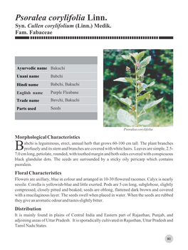 Psoralea Corylifolia Linn. Syn