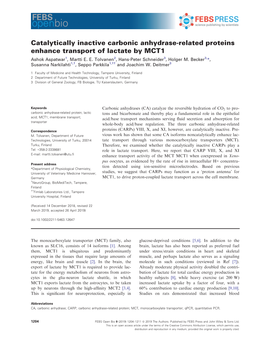 Catalytically Inactive Carbonic Anhydrase‐Related Proteins Enhance Transport of Lactate by MCT1