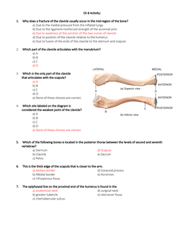 Chapter 8: Appendicular Skeleton