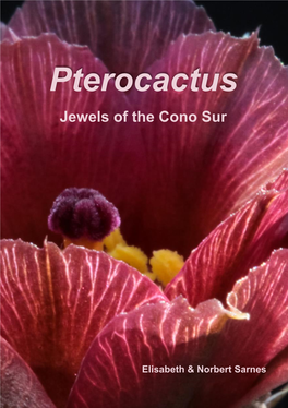 Pterocactus Jewels of the Cono Sur