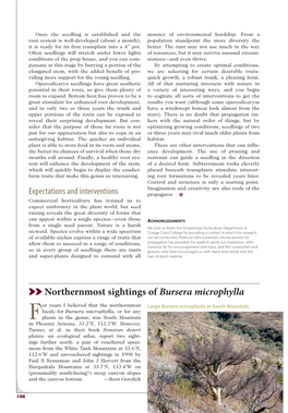 SS Northernmost Sightings of Bursera Microphylla