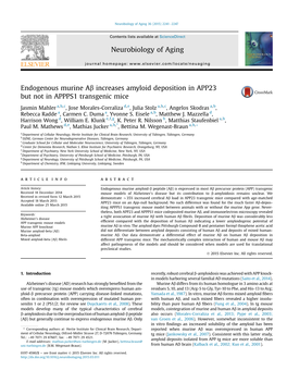 Endogenous Murine A&Beta; Increases Amyloid Deposition In