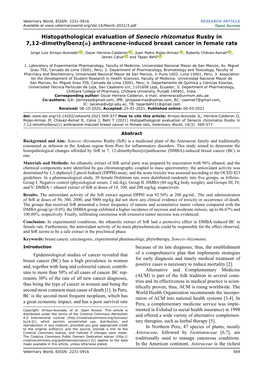 Anthracene-Induced Breast Cancer in Female Rats