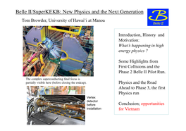 Belle II/Superkekb: New Physics and the Next Generation Tom Browder, University of Hawai’I at Manoa