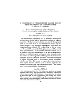 A Comparison of Virus-Induced Rabbit Tumors with the Tumors of Unknown Cause Elicited by Tarring