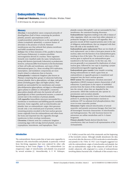 Endosymbiotic Theory.Pdf