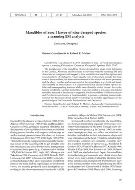 Mandibles of Zoea I Larvae of Nine Decapod Species: a Scanning EM Analysis