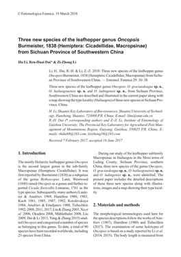 Three New Species of the Leafhopper Genus Oncopsis Burmeister, 1838 (Hemiptera: Cicadellidae, Macropsinae) from Sichuan Province of Southwestern China