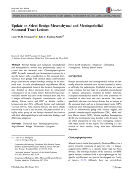 Update on Select Benign Mesenchymal and Meningothelial Sinonasal Tract Lesions