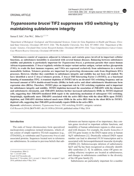 Trypanosoma Brucei TIF2 Suppresses VSG Switching by Maintaining Subtelomere Integrity