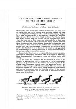 THE BRENT GOOSE (Branta Bernicla L.) in the SOVIET UNION 1