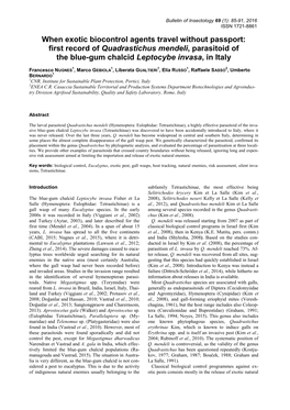 First Record of Quadrastichus Mendeli, Parasitoid of the Blue-Gum Chalcid Leptocybe Invasa, in Italy