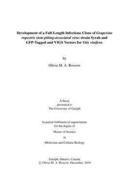 Development of a Full-Length Infectious Clone of Grapevine Rupestris Stem Pitting-Associated Virus Strain Syrah and GFP-Tagged and VIGS Vectors for Vitis Vinifera