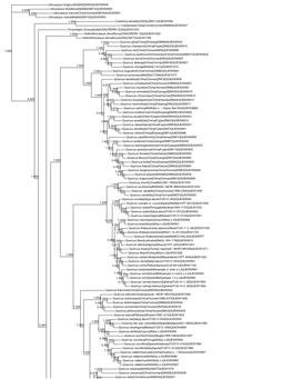 R Graphics Output