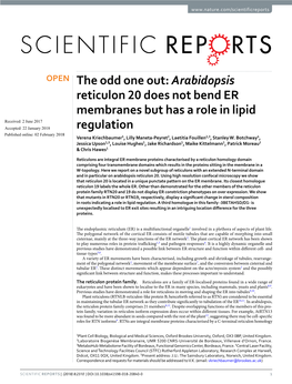 Arabidopsis Reticulon 20 Does Not Bend ER Membranes but Has a Role