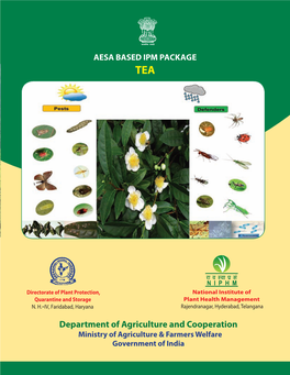 AESA BASED IPM Package TEA