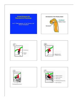 Animal Science 434 Reproductive Physiology