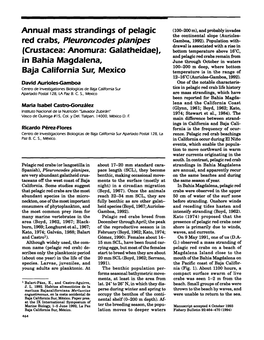 Annual Mass Strandings of Pelagic Red Crabs, Pleuroncodes Planipes