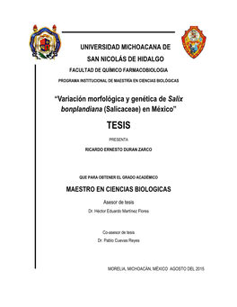 “Variación Morfológica Y Genética De Salix Bonplandiana (Salicaceae) En México” TESIS