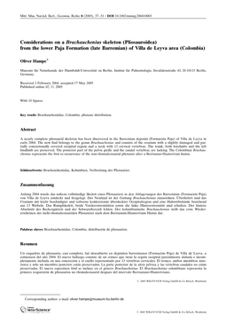 Considerations on a Brachauchenius Skeleton (Pliosauroidea) from the Lower Paja Formation (Late Barremian) of Villa De Leyva Area (Colombia)