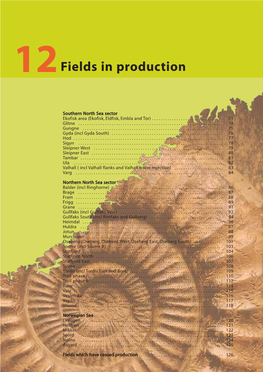 Fields in Production