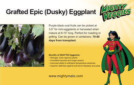 (Dusky) Eggplant