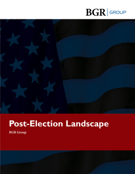 Post-Election Landscape