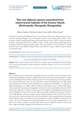 Two New Dipluran Species Unearthed from Subterranean Habitats of the Canary Islands (Arthropoda, Hexapoda, Entognatha)