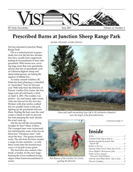 Inside Prescribed Burns at Junction Sheep Range Park