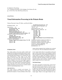 Visual Information Processing in the Primate Brain