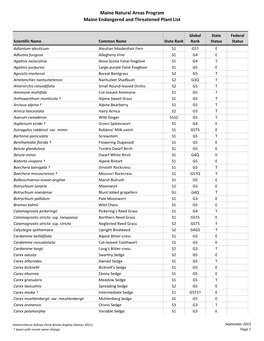 Maine Natural Areas Program Maine Endangered and Threatened Plant List