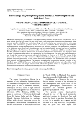 Embryology of Spathoglottis Plicata Blume: a Reinvestigation and Additional Data