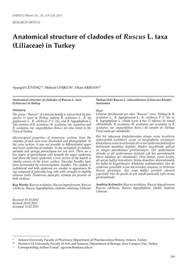 Anatomical Structure of Cladodes of Ruscus L. Taxa (Liliaceae) in Turkey