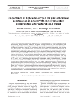 Importance of Light and Oxygen for Photochemical Reactivation in Photosynthetic Stromatolite Communities After Natural Sand Burial