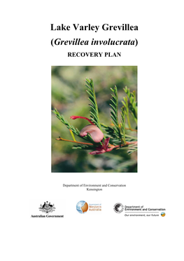 Grevillea Involucrata) RECOVERY PLAN