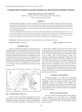 Coal Potential of Patala Formation, Dandli Area, Kotli District, Kashmir, Pakistan